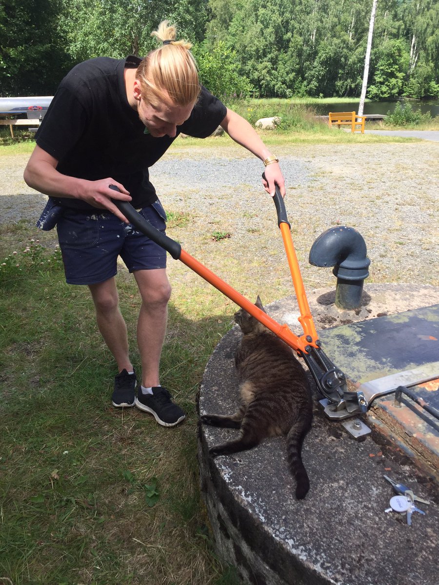 Edliing's tweet image. "HUMAN PLS NO WORK, PLS PET ME"