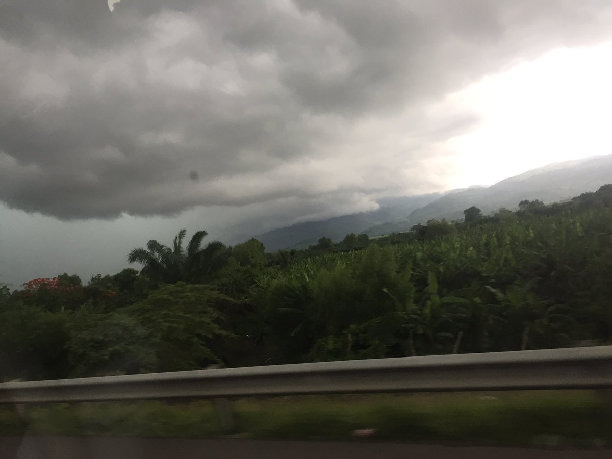 bugsnforests's tweet image. Honduras has lots of beautiful forests to protect! #foresthealth