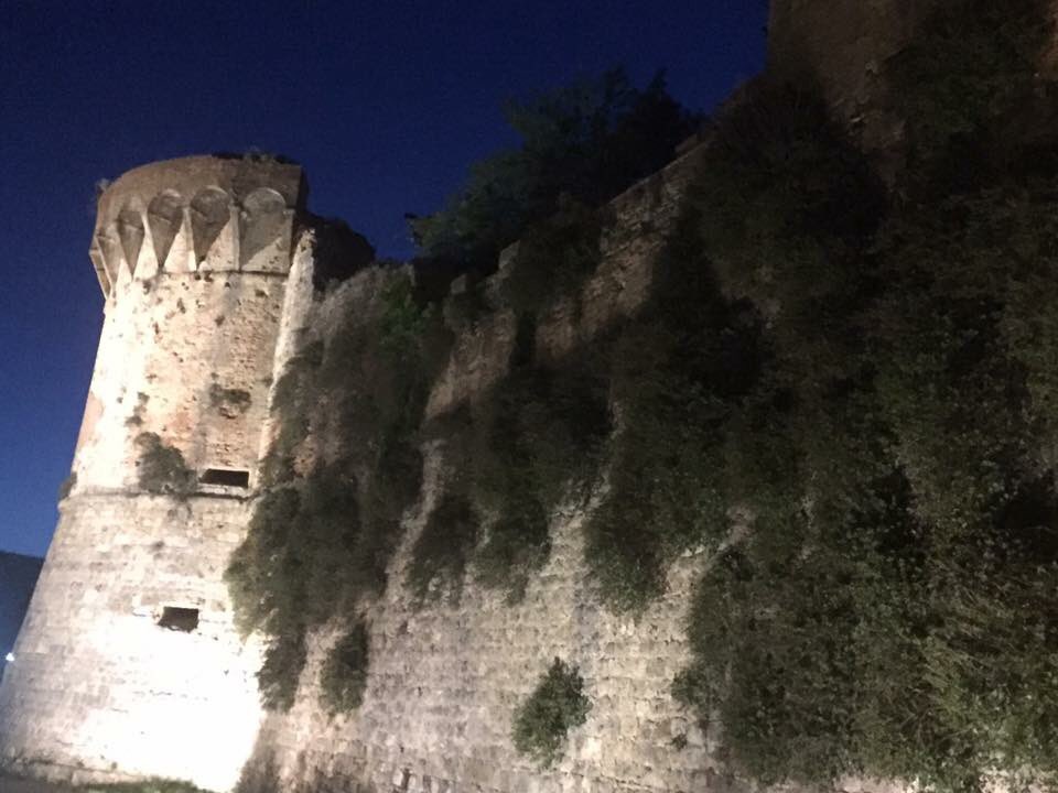 TuscanVines ® tweet media