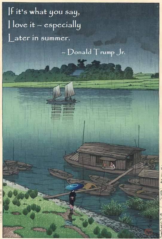 Some genius realized that Don Jr.'s reply forms a perfect haiku.