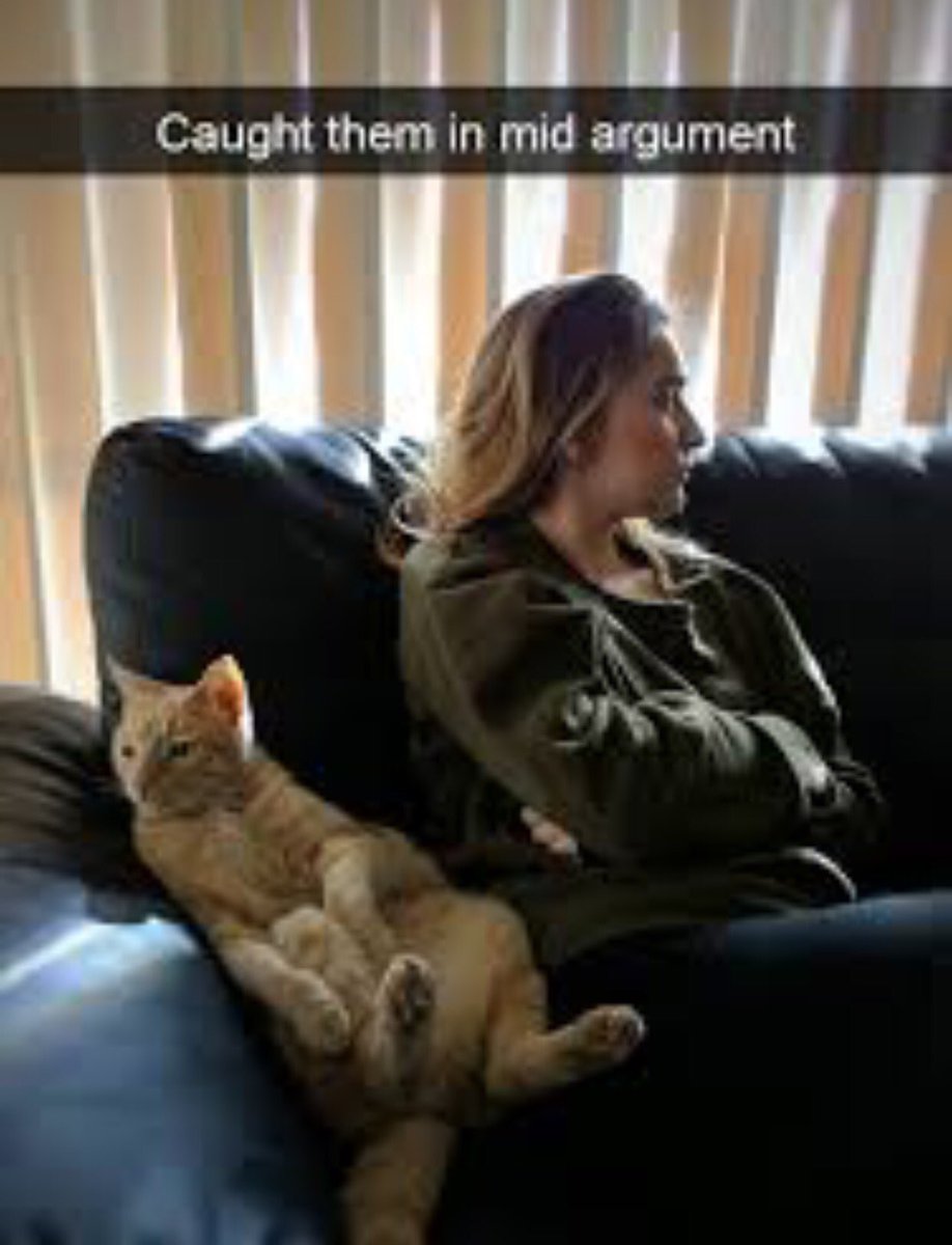 AshLIGHTnin's tweet image. #YouHaveIssues when you get into real arguments with your pets