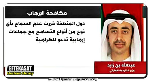 وزير خارجية الإماراتى: دول المنطقة قررت عدم السماح بأى حال نوع من انواع التسامح مع جماعات إرهابية تدعو للكراهية