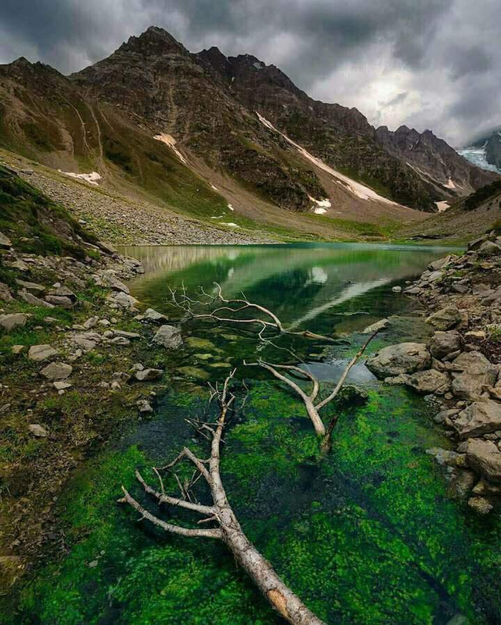 EcoVibeExplorer's tweet photo. #RamaLake: Lake near #Astore #GilgitBaltistan #BeautifulPakistan. It is on top of the beautiful #AstoreValley #PakistanisHeaven #TourismPk https://t.co/hIUiF1HXrW