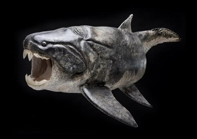 Dannybell_LC's tweet photo. Los 10 animales prehistóricos más aterradores
Grandes depredadores ya extintos que un día dominaron la Tierra
https://t.co/Yihc7iSbXP https://t.co/xunAYdZswm