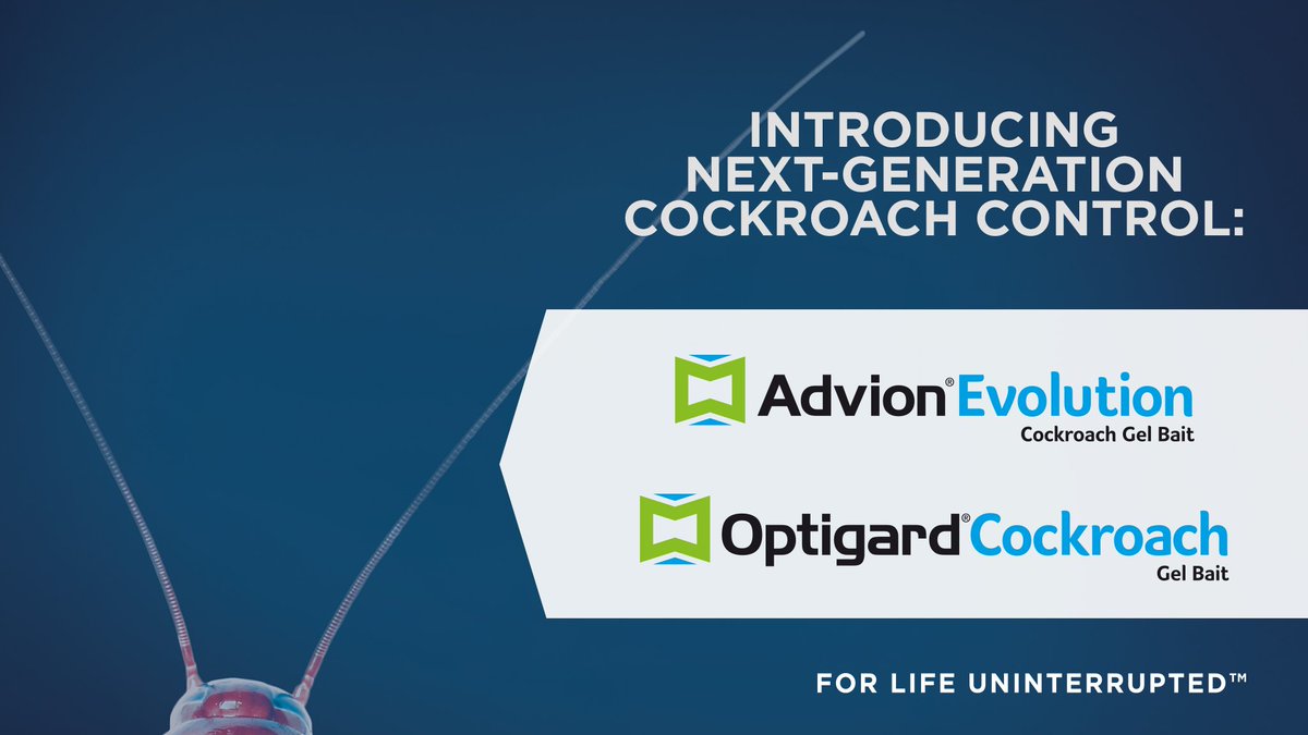 SyngentaPest's tweet image. As #cockroaches evolve, so do we. Learn more about the latest additions to our portfolio of #CockroachSolutions: ow.ly/oxwP30dBlt2