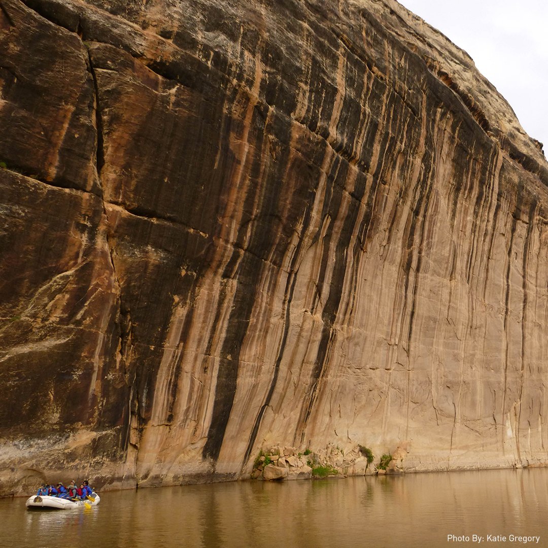 COBS_org's tweet photo. Immerse yourself in the landscape of the southwest desert for 30 days, discover direction &amp; reveal your strengths. https://t.co/hPRaYLC4Oe https://t.co/e7WGFAXSEq