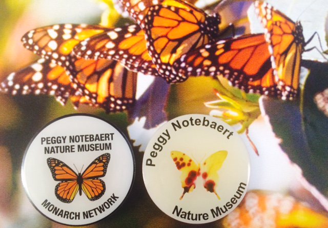 PinSource's tweet image. Did u know that #monarch #butterflies are the only insect that migrate  2,500 miles away to be warm each year? #MonarchMigration #lapelpin