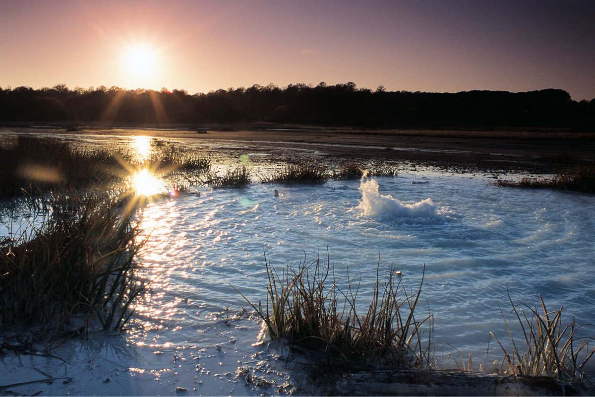 Visit Lazio On Twitter Il Gorgogliare Dell Acqua Nella Caldara Di Manziana Immersa Nel Bosco Di Betulle E Uno Spettacolo Da Ammirare Al Tramonto Roma Https T Co Ud9h79yeie