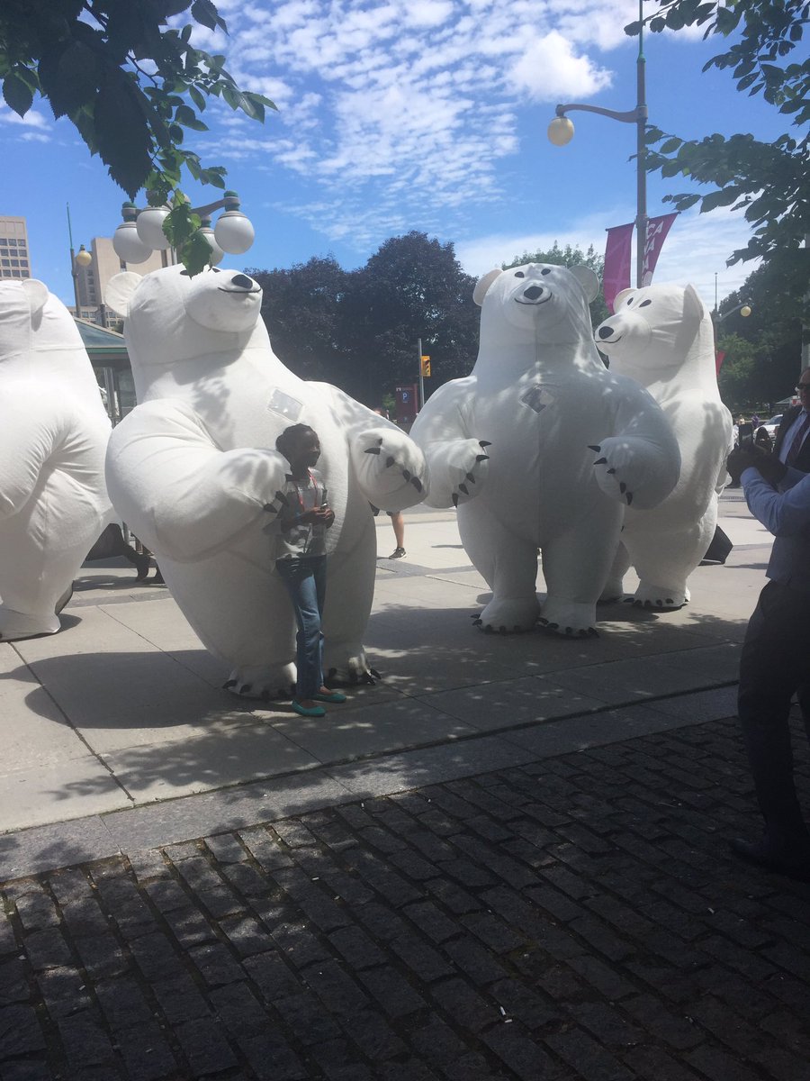 Polar bears on Elgin - it must be summer in Ottawa!