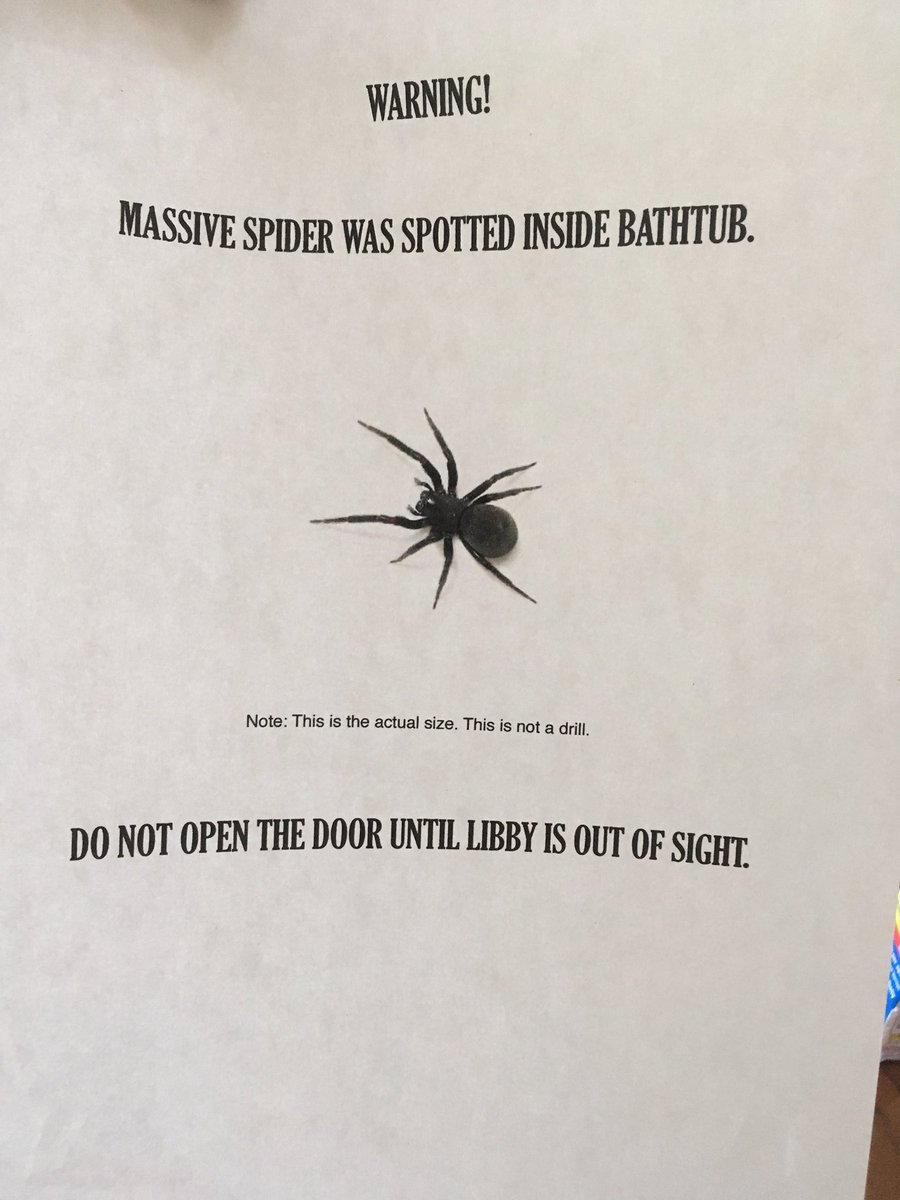 lyrodriguez324's tweet photo. When I say that I have a bad phobia for spiders...or anything...it's probably true π
π
#someonekillit #sos https://t.co/VaXkmd5p6e
