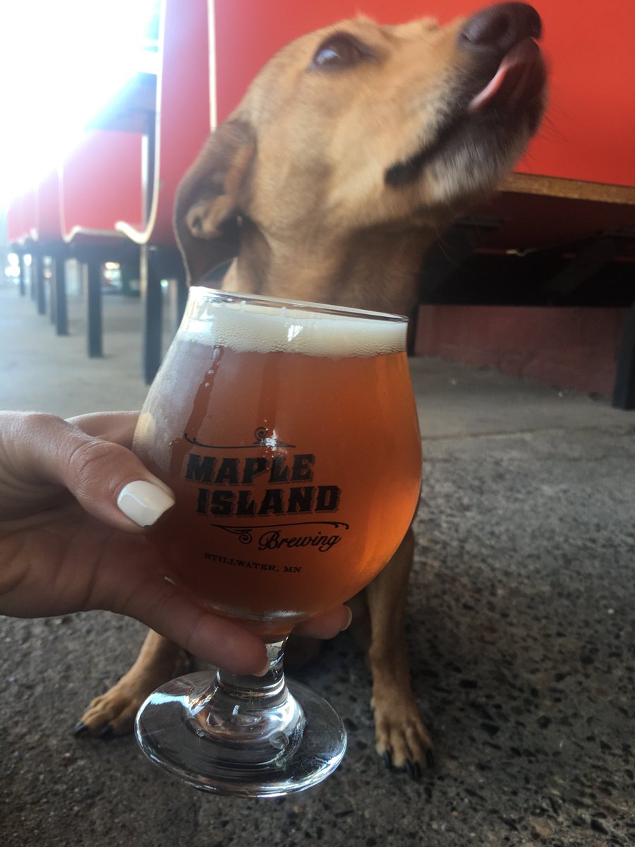 We love dogs on our patio! #patiobeer #summer #dogs