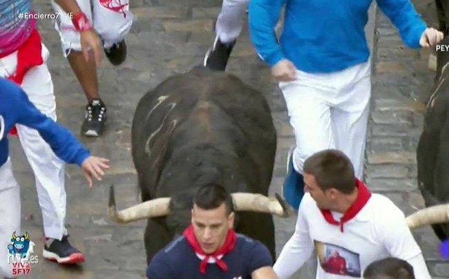 El cuellarano Jesus Hernansanz 7 carreras de 7 en los sanfermines cuellar7.com/y-van-siete/60… .<a href="/TaurinoCastilla/">Taurinos Castilla</a> <a href="/DiariodeNavarra/">Diario de Navarra</a> @TorosMateGar