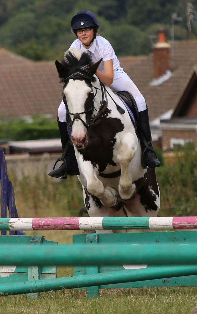 OwlHousePC's tweet photo. @lily_tilby and Lexi looking #amazing @ThePonyClub #ponyclub #showjumpers #showjumping #horses #sports #equestrian #summer #Competition https://t.co/JiTh1Yptxs