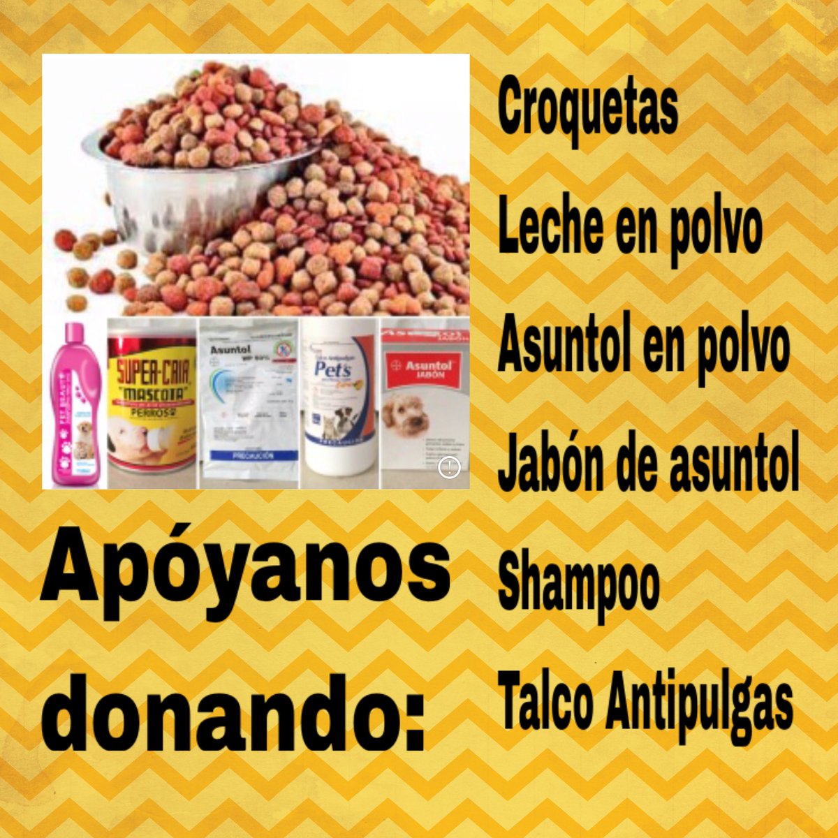 AdopcionesLM's tweet photo. Necesitamos de tu ayuda, apóyanos con lo que puedas. Tu puedes hacer que todos tengan el hogar que merecen 😺🐶#AdoptaNoCompres https://t.co/tHmFLoNYDJ