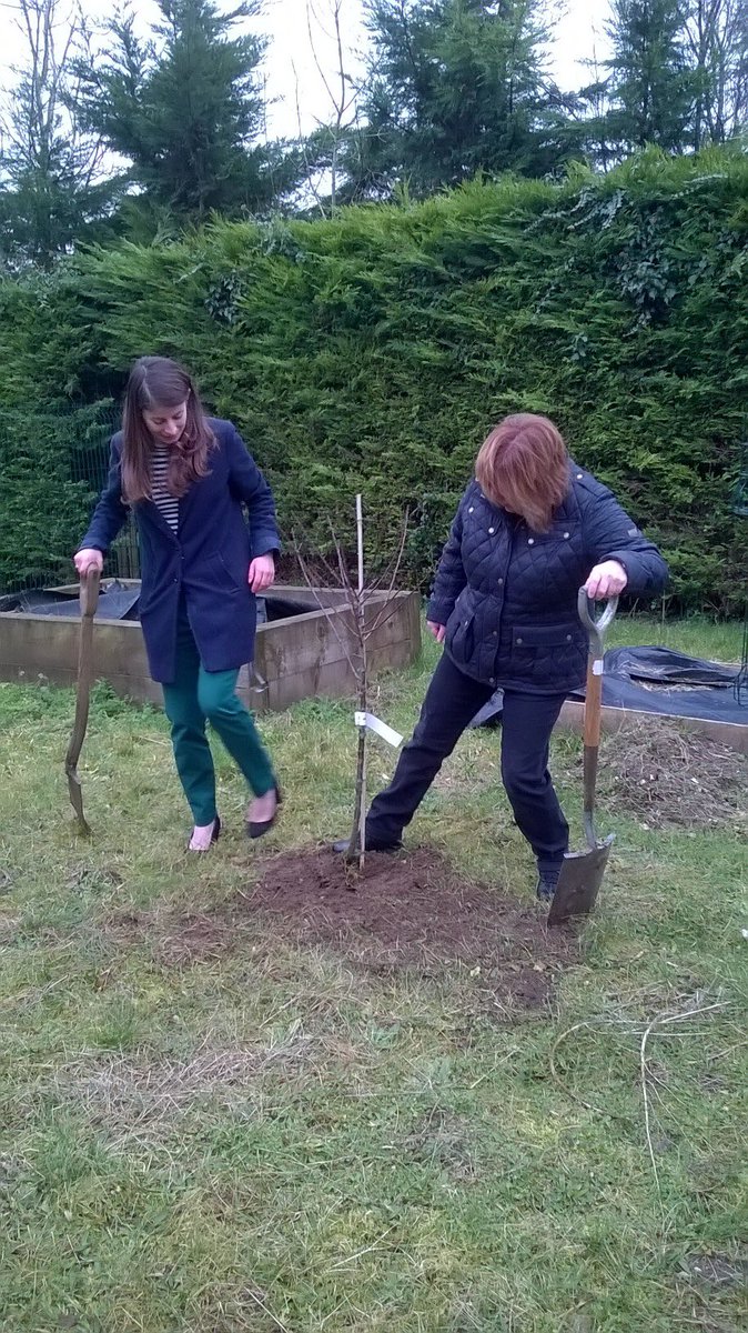 TTAEnvironment's tweet image. Just a couple of before and after photos from today's fantastic work by the eco-committee. #Bagsofhelp #EcoSchools #ThetfordAcaduk