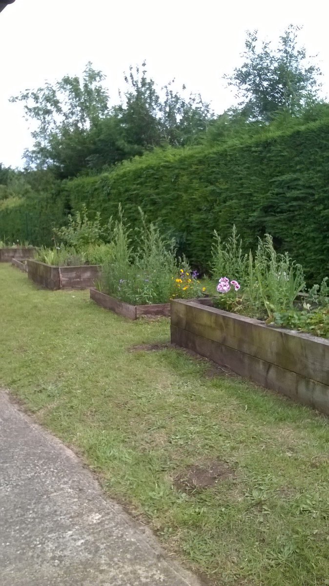 TTAEnvironment's tweet image. Just a couple of before and after photos from today's fantastic work by the eco-committee. #Bagsofhelp #EcoSchools #ThetfordAcaduk