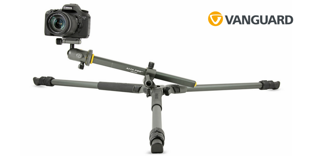 Vanguard España tweet media