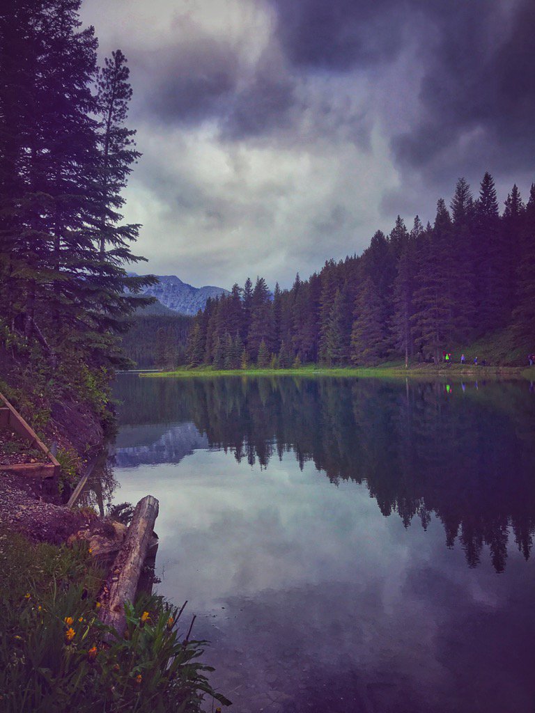 AlishaReil's tweet photo. Chinook Allison Recreational Park, Alberta is my favourite spot near Calgary to relax and enjoy nature. #questival https://t.co/906KewJLIM