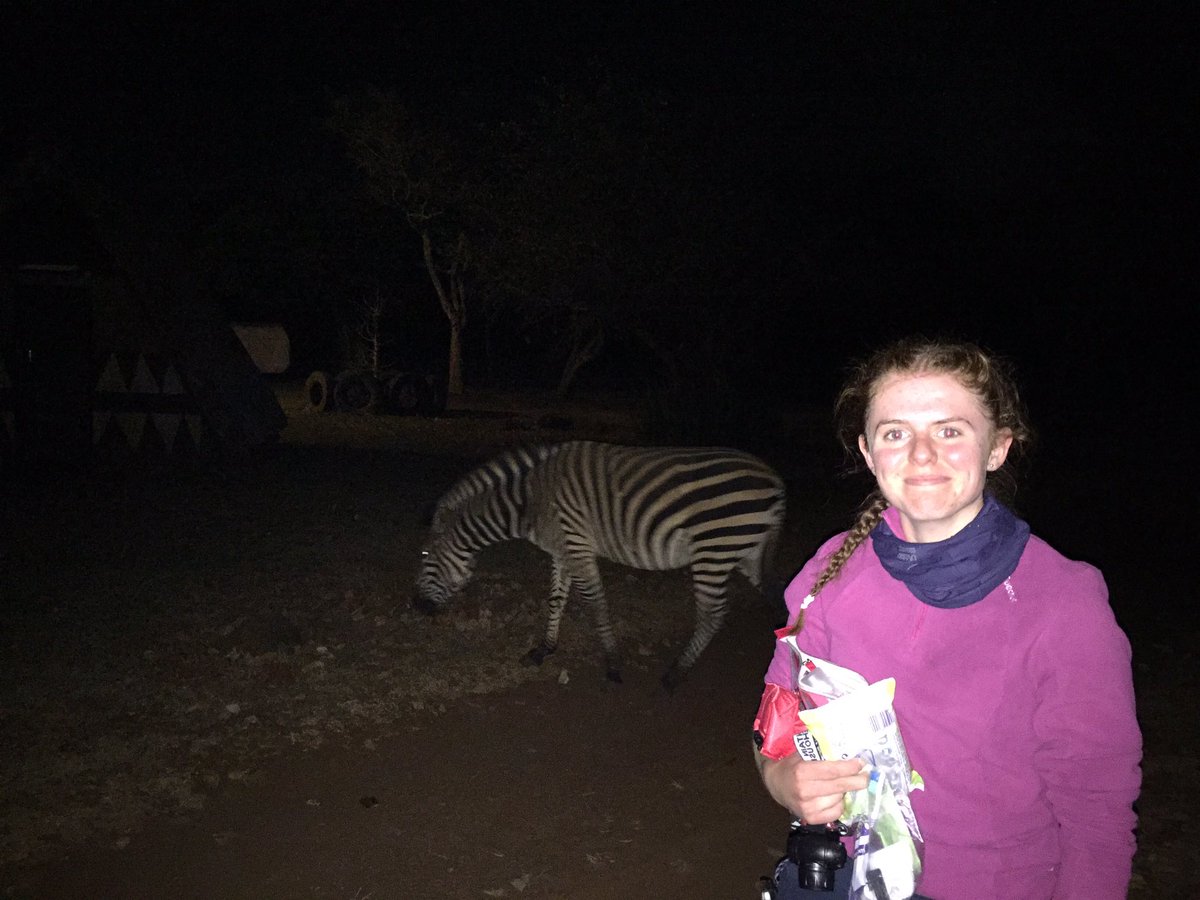 MonsieurJWright's tweet photo. @George_Spencer zebras in camp. What an experience #ZambeziChallenge https://t.co/nVyFQgWodH