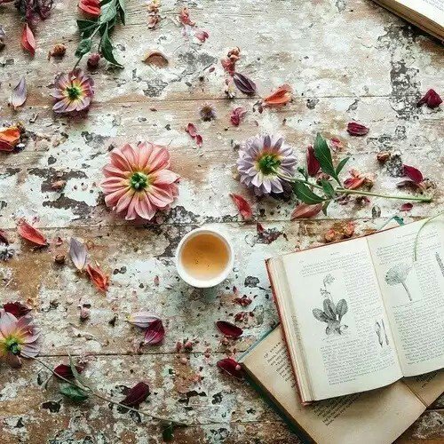 EME_demujer's tweet photo. Infusiones naturales para bajar de peso https://t.co/QNXonVYaUx  https://t.co/hpJw716QKn
