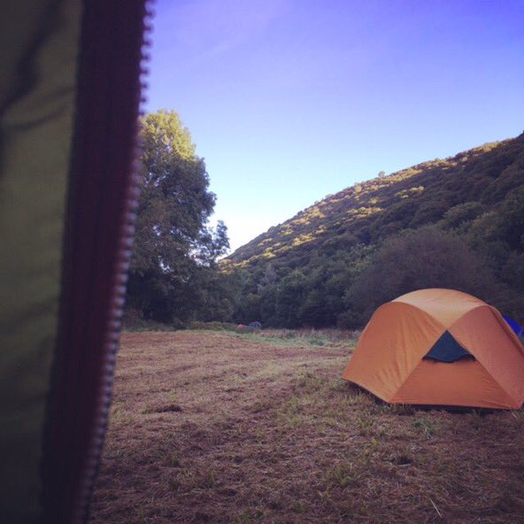 Rob Joules tweet media