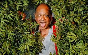 Happy Birthday to the one and only Cheech Marin!!! 