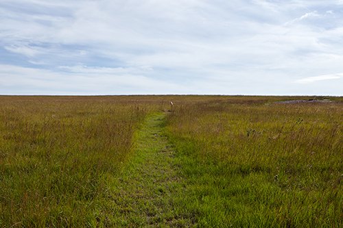 MidCoast Record tweet media