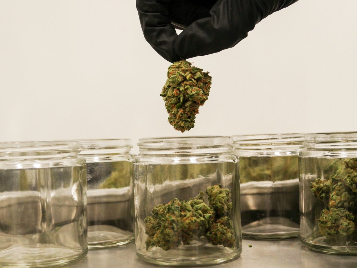 Britten_Mitch's tweet photo. If you don't experience your business on the front lines, then how will you know how to build store lines? #CannabisCommunity #jarsofgold https://t.co/iQEx9JMqRl