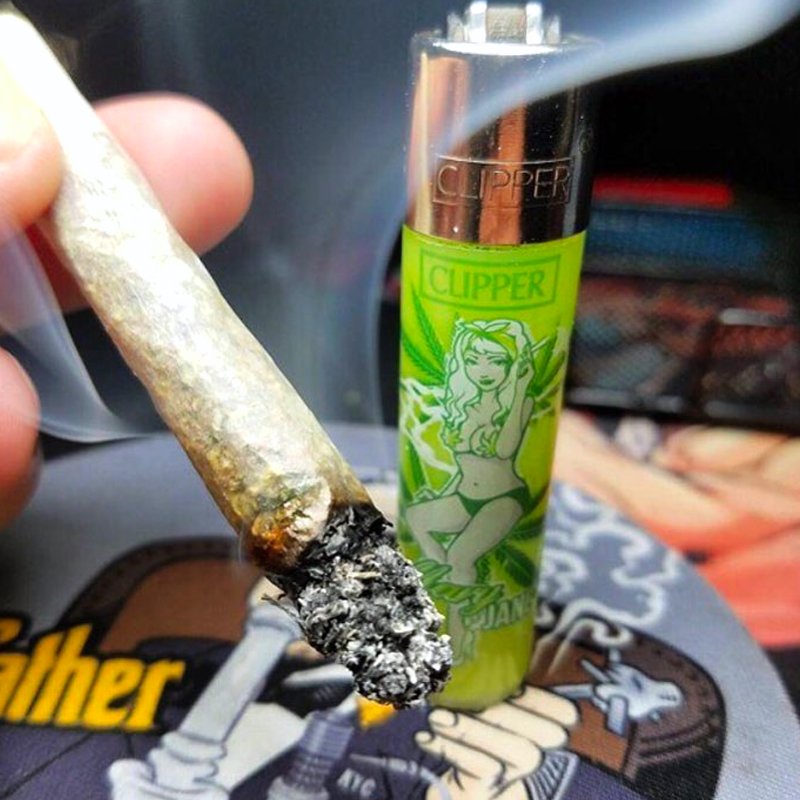 SoWeedFR's tweet photo. C'est l'heure du DigéSpliff : https://t.co/ISzwR1Cjm6 ... 🔥💨 #Digéspliff #SmokeWeed #EtToiTuLikes #Cannabis #Marijuana #Ganja #Hemp #Weed https://t.co/Yi8WmpXxkg