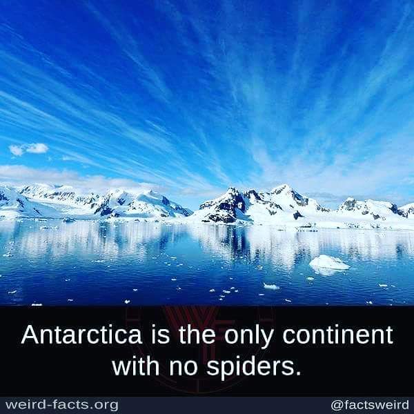 Who's with me?!