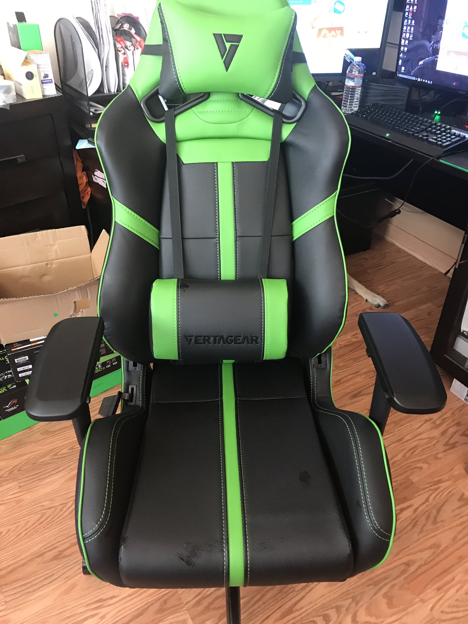 luigi arroyo on twitter "my vertagear sl5000 is here woo