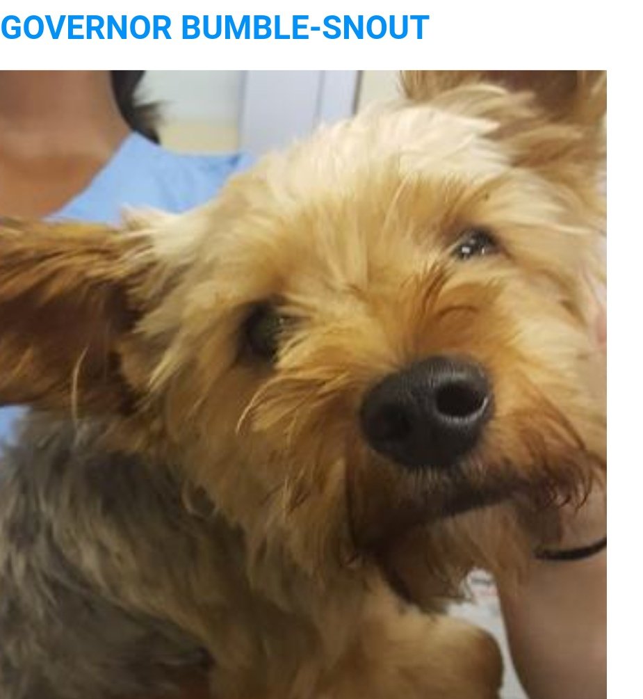 This is a truly wonderful name, <a href="/sahumane/">SA Humane Society</a>.