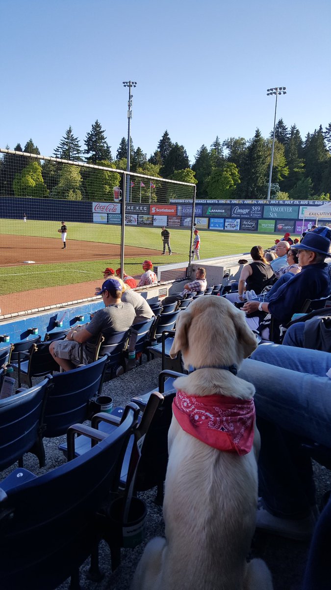 BBaydala's tweet photo. Bring your dog night at Nat Bailey! #VanCanadians https://t.co/lYNDTP1bn4