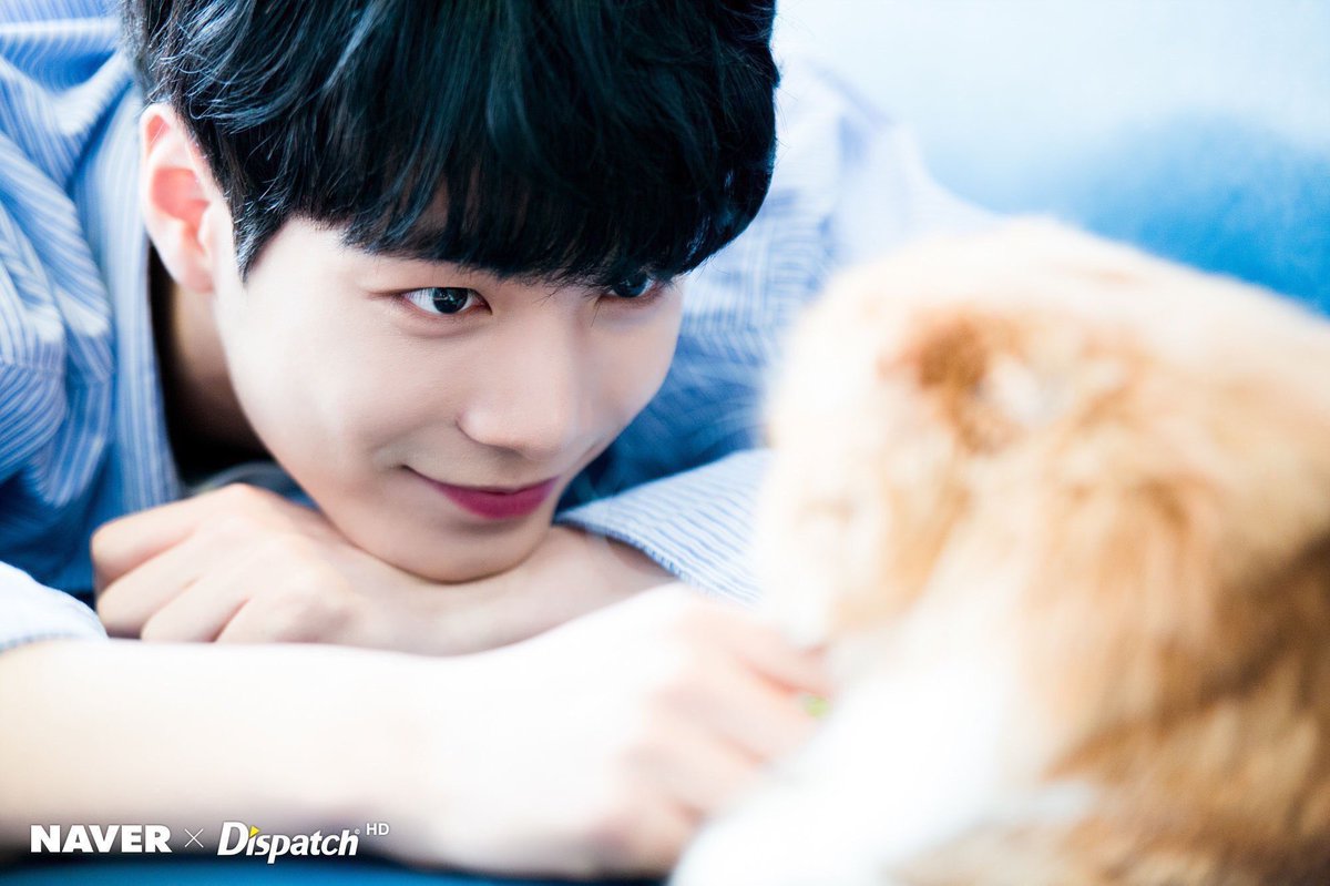 butterhwang's tweet photo. รูปจงฮยอนจาก Dispatch
อยากเป็นแมว อยากโดนพี่จงมองแบบอบอุ่นงี้บ้าง TvT https://t.co/XSqtAio2Ri