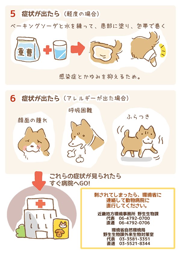 スズメ天狗 犬漫画ブログ ヒアリの記事に間違いがあり ブログを更新致しました 正しくはこちらのイラストになります 本当に申し訳ありませんでした T Co S2nnr50ge7 ヒアリ 犬