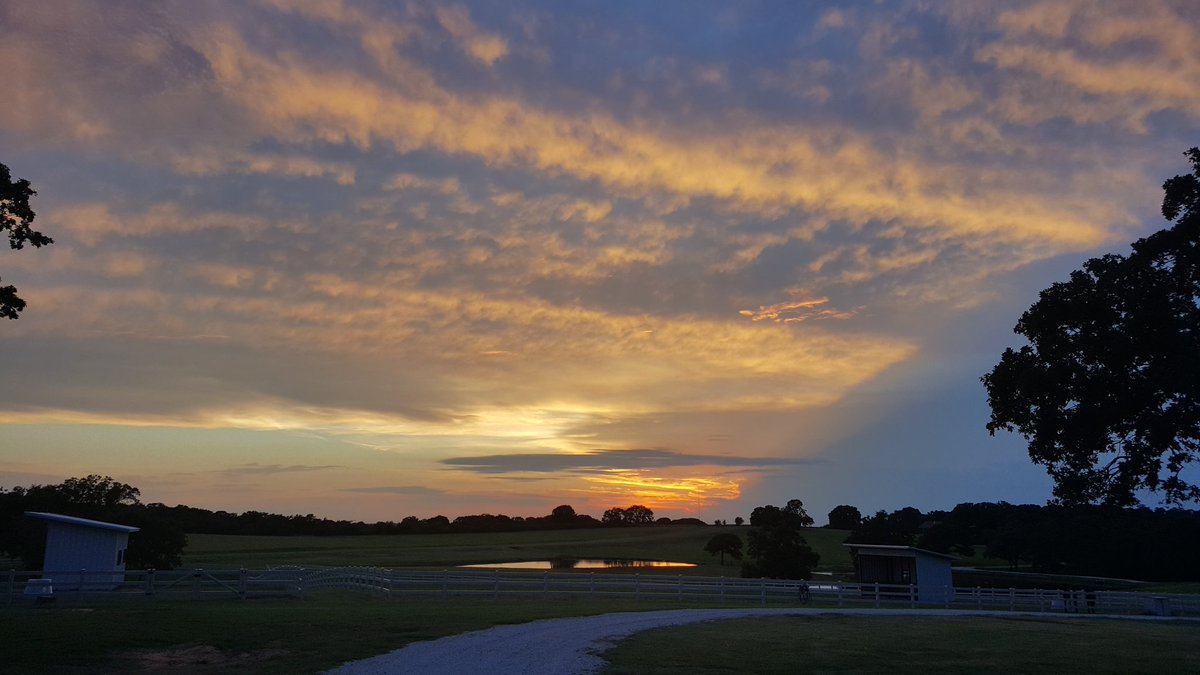 JP_hoffman423's tweet photo. #vividviews https://t.co/cGJ3EUXtv6