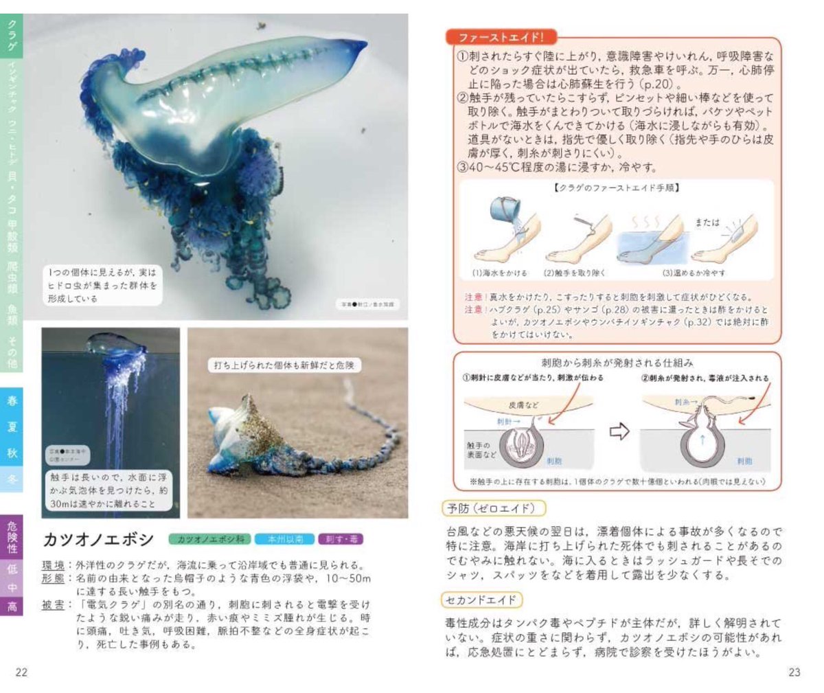 「危険生物ファーストエイドハンドブック海編」
書店での発売も開始されたようです。陸編ともども、どうぞよろしくお願いいたします。
 