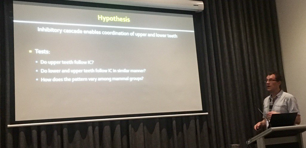 #imc12 <a href="/DrTeethAl/">Alistair Evans</a> showing that inhibition improves coordination, at least in teeth and occluding triplets
