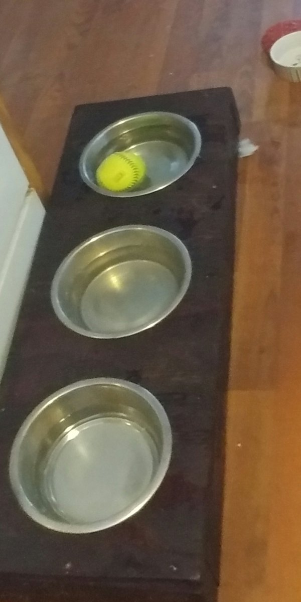 R4Rustics's tweet image. Created a dog water bowl holder to keep our German Shorthair Pointer from redecorating our kitchen as a pool.
