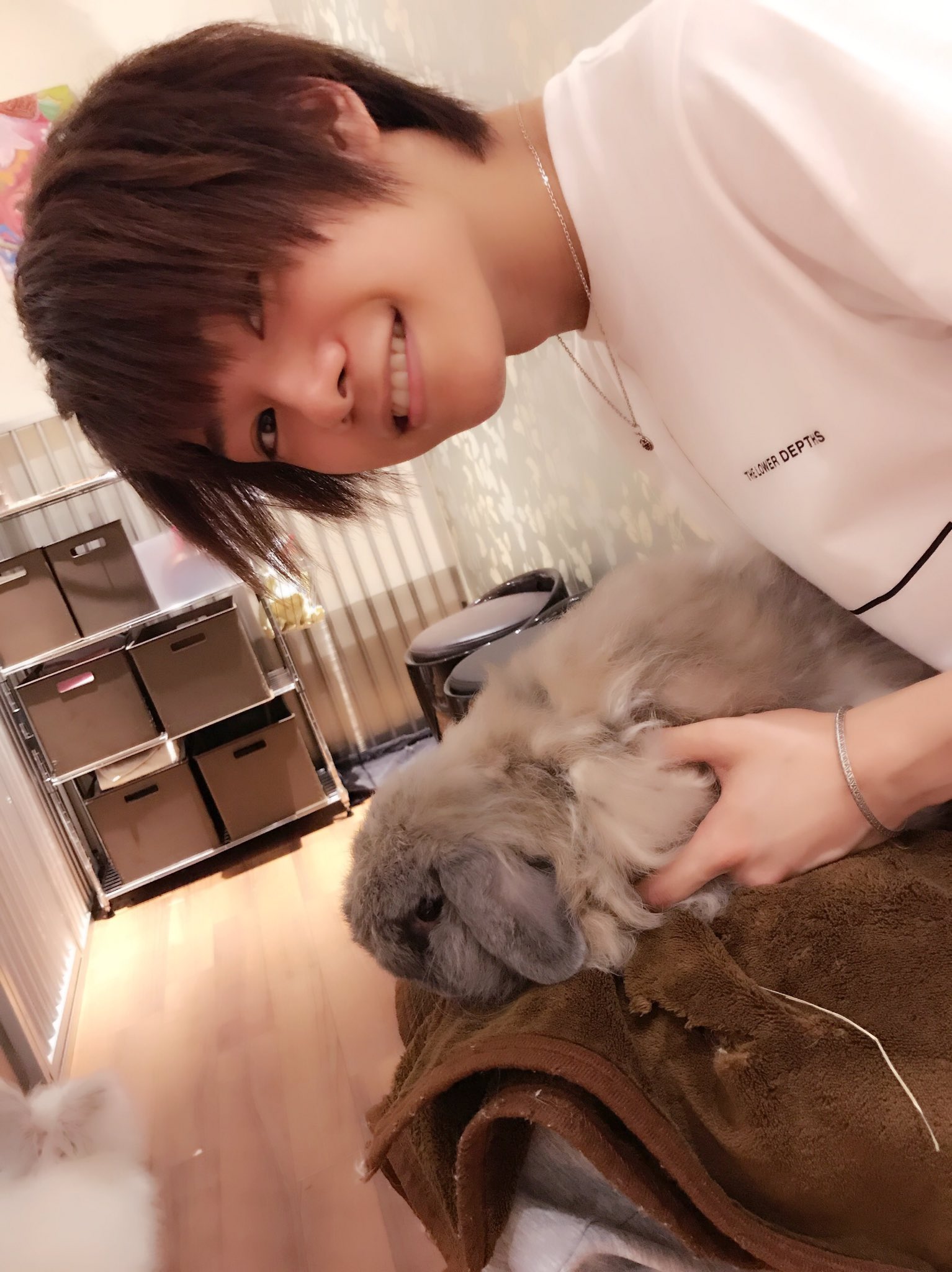 北川 尚弥 Twitterissa 札幌のモンラパンと言う うさぎカフェで癒されて来ました T Co Anjuwfwazu Twitter