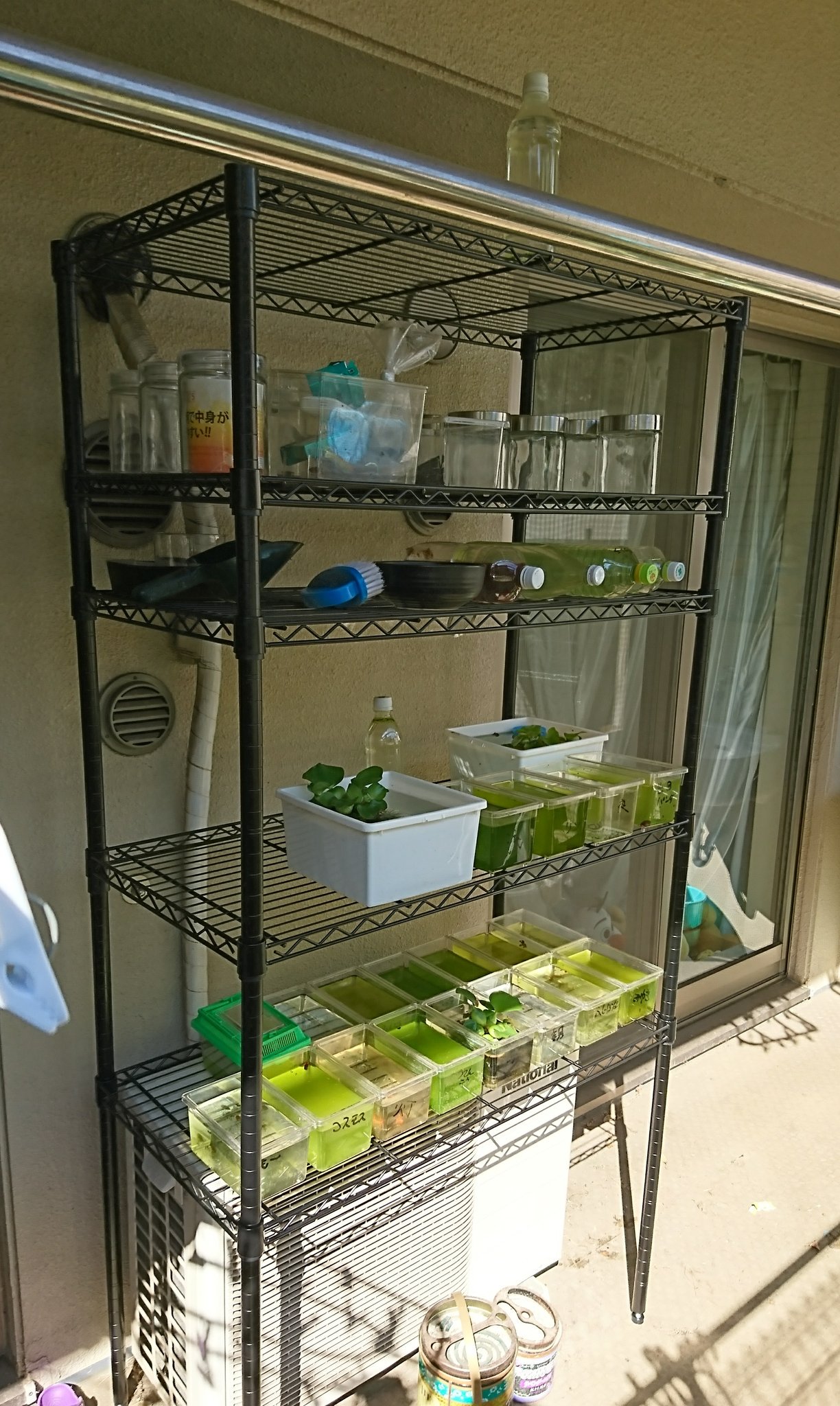 Twitter पर てつし 溢れかえった荷物 めだか容器を新しく設置したスチールラックへ ビフォーアフター 荷物がなくなってすっきり さらに直置きしないで済むのは素晴らしい 上の棚が空きまくってるからこれからもっと片付けしていこう めだか稚魚容器は Twitter पर てつし 溢れかえった荷物 めだか容器を新しく設置したスチールラックへ ビフォーアフター 荷物がなくなってすっきり さらに直置きしないで済むのは素晴らしい 上の棚が空きまくってるからこれからもっと片付けしていこう めだか稚魚容器は