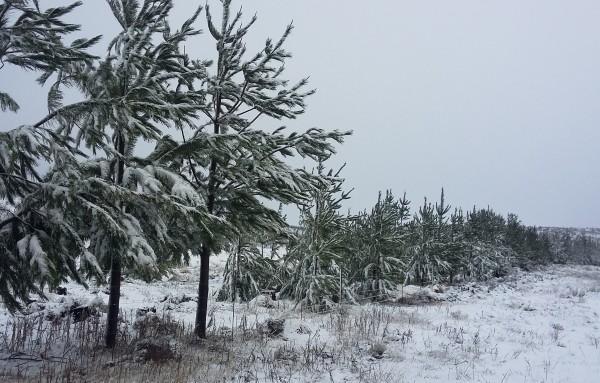 eNCA's tweet photo. [ICYMI] Big cold front set to chill #SA this weekend #BergWind https://t.co/Ty682DyKAW https://t.co/l6OzTeoBFr
