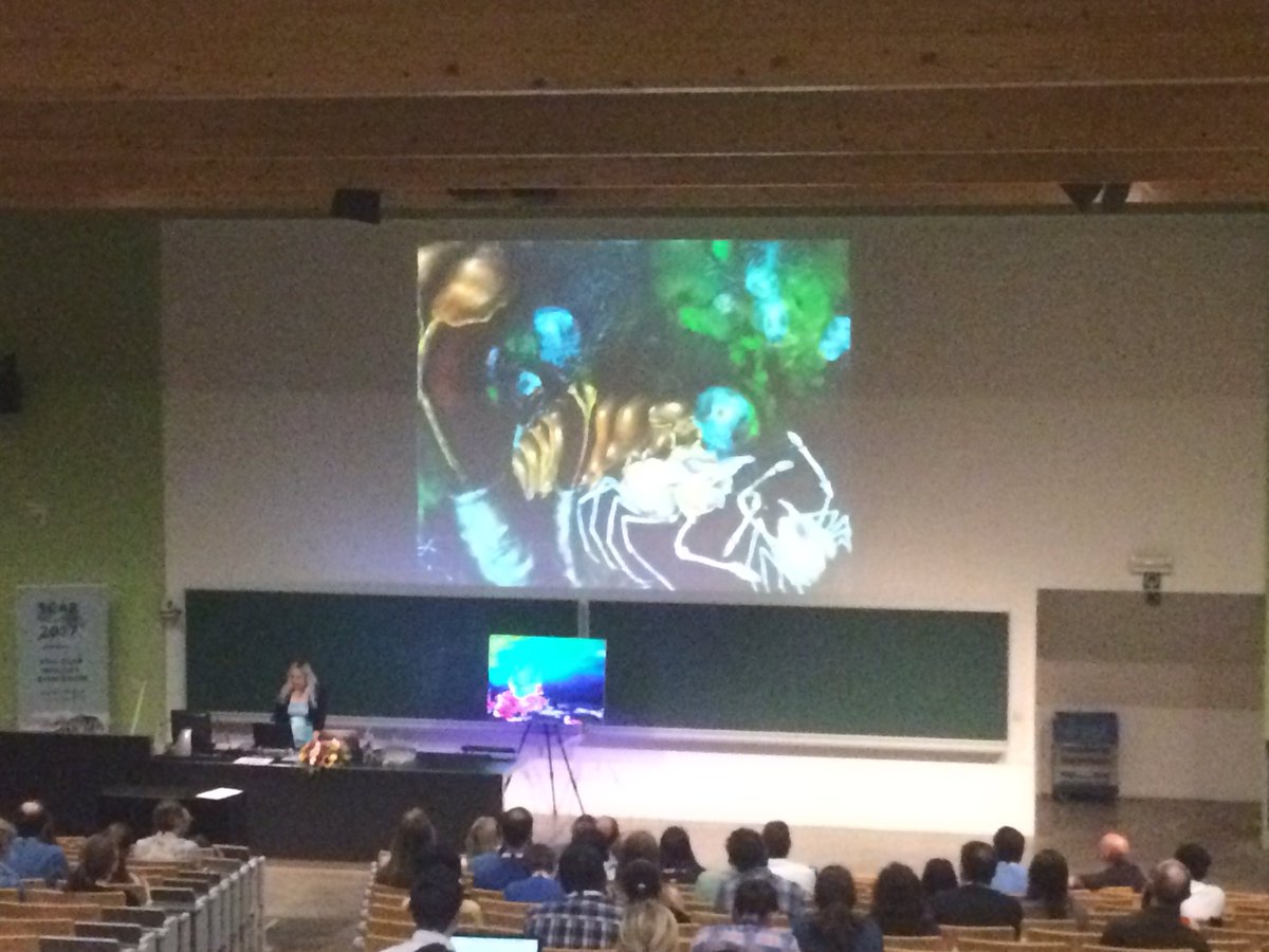 Our 'artist in residence' Lily Simonson giving her keynote talk <a href="/SCARbio17/">SCAR Biology 2017</a>!