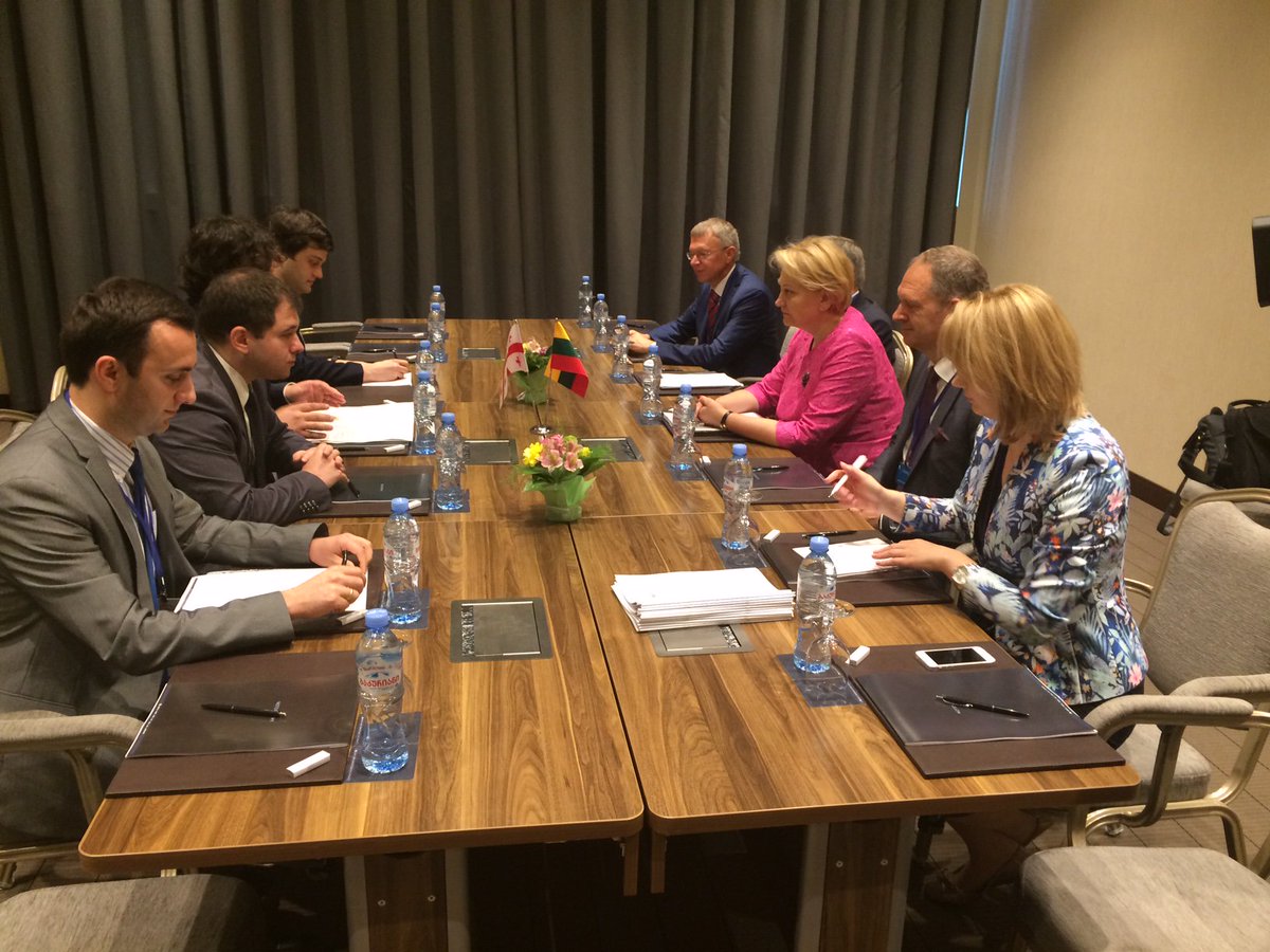 Budbergyte's tweet photo. Meeting with Georgian Parliament chairman @IrakliKobakhidze and discussing #Lithuania Aid to #Georgia action plan for 2017-2020. https://t.co/JImdqqFqfQ