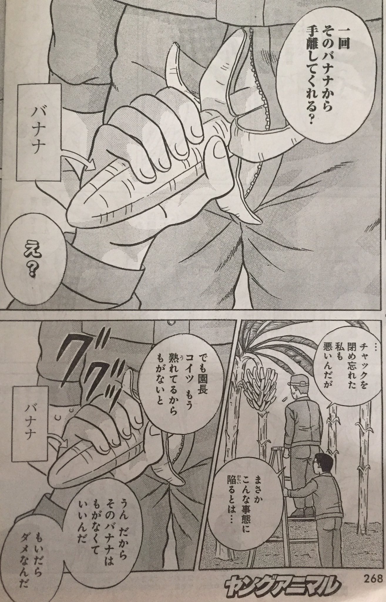 モンキー チョップ No Twitter 本日発売のヤングアニマルに ふたりエッチ外伝 性の伝道師アキラ 第2話が載ってます この原稿を読んだ元担当から スピンオフを学べ と某スピンオフ漫画が全巻送られてきました T Co Nb9amo05u7 Twitter