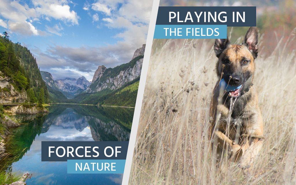 ownlesscc's tweet image. Der letzte Teil des Showcases von Bildern von @alexanderwite. Schaut auch auf seiner FB-Seite vorbei: facebook.com/alexweissphoto/