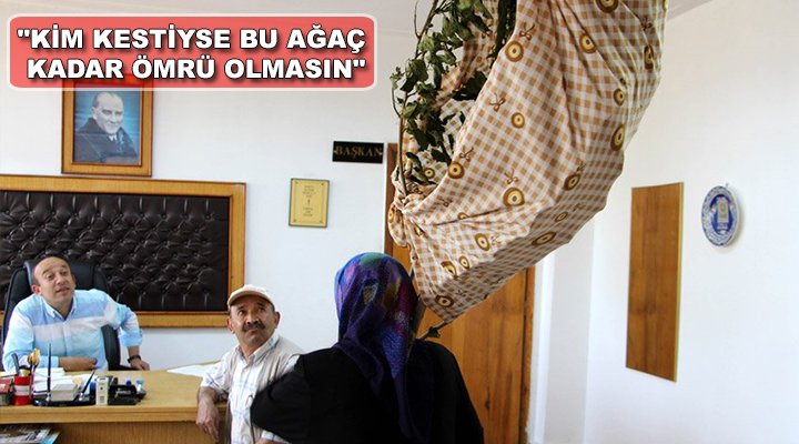 Kesilen ağacını omuzlayıp, belediyeye gitti: Neden kestiniz
goo.gl/SgE58A