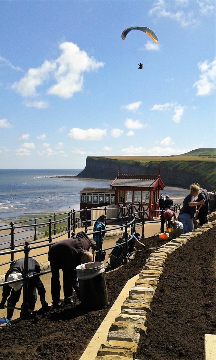 Saltburn in Bloom tweet media