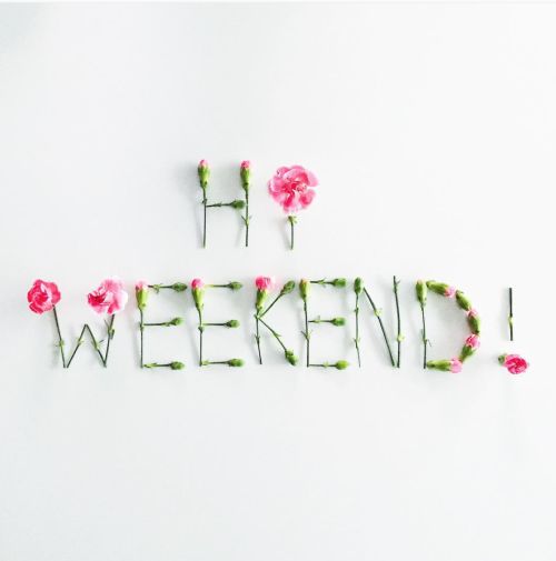 Ivy & Aster tweet media