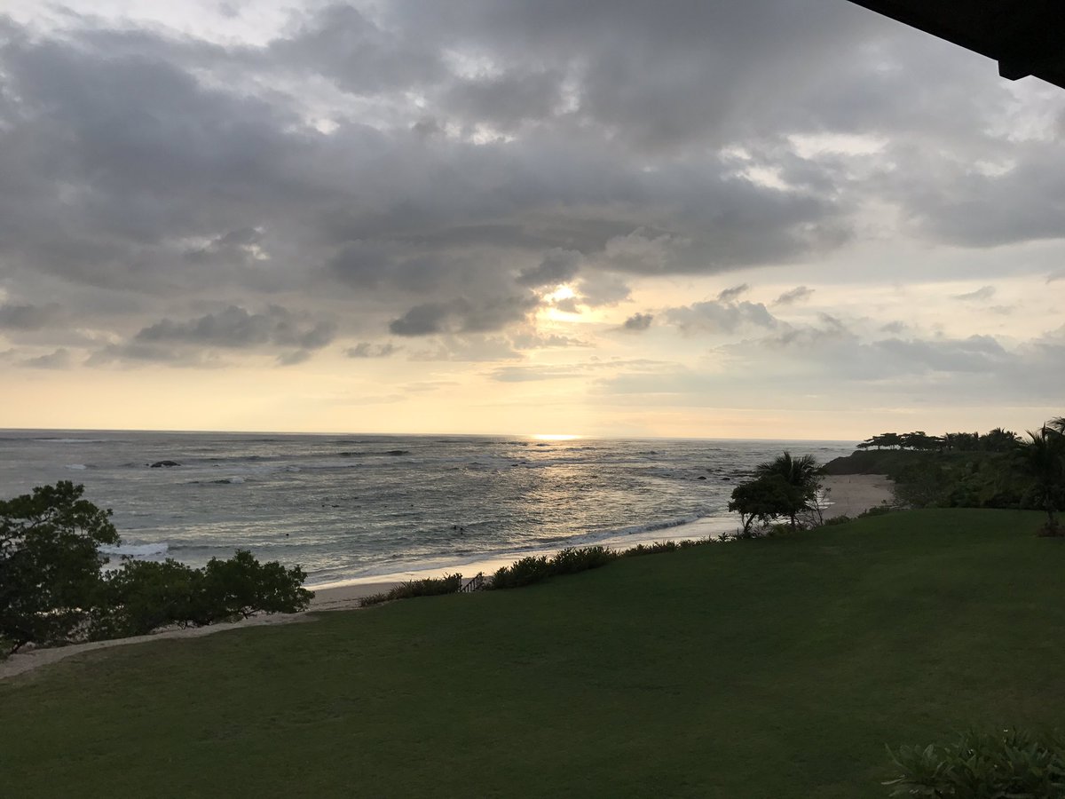 Amanda Neece tweet media